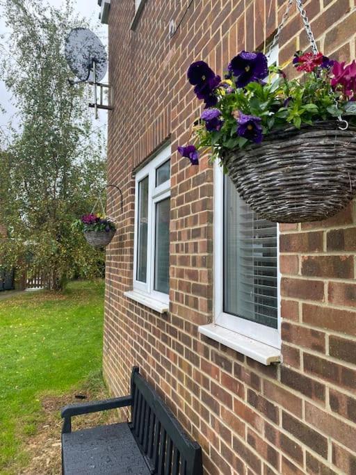 Cosy Studio Apartment Waterlooville Extérieur photo