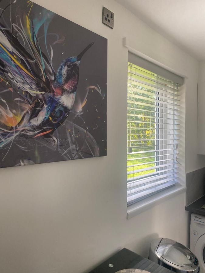 Cosy Studio Apartment Waterlooville Extérieur photo